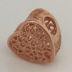 NWT Pandora Charm